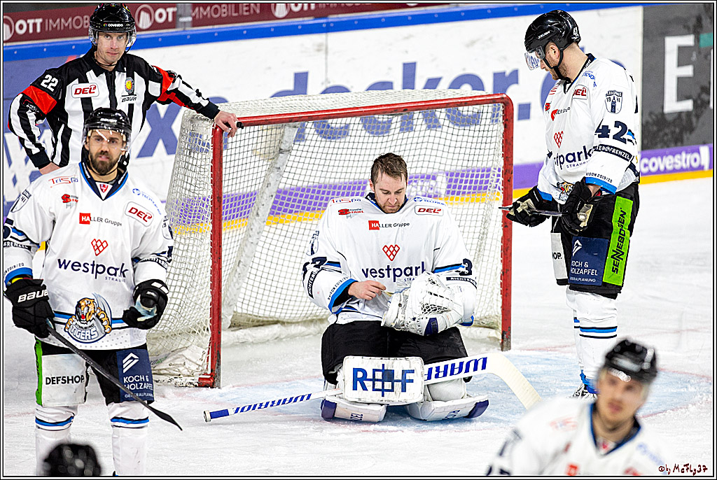 DEL;  Koelner Haie - Straubing Tigers; Koeln, 01.03.2020